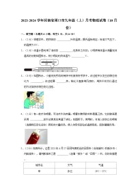 2023-2024学年河南省周口市九年级（上）月考物理试卷（10月份）