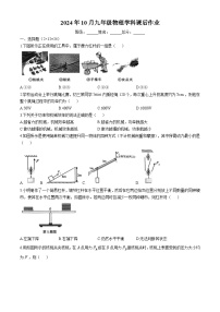 江苏省镇江江南学校2024-2025学年九年级上学期10月月考物理试卷