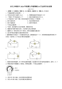 四川省泸州市合江县少岷初中2024-2025学年九年级上学期10月月考物理试题(无答案)