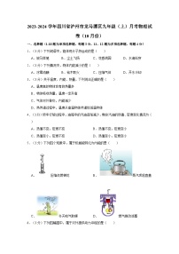 2023-2024学年四川省泸州市龙马潭区九年级（上）月考物理试卷（10月份）