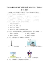 2023-2024学年四川省泸州市龙马潭区九年级（上）月考物理试卷（10月份）