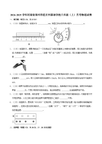 河南省郑州经开区外国语学校2024-2025学年八年级上学期月考物理试题