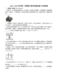安徽省阜阳市多校2024-2025学年九年级上学期期中考试物理试题