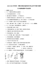 甘肃省武威市凉州区五和中学联片教研2024-2025学年九年级上学期10月期中物理试题