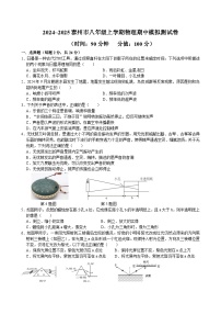 江苏省泰州市2024~2025学年八年级上学期期中模拟物理试卷