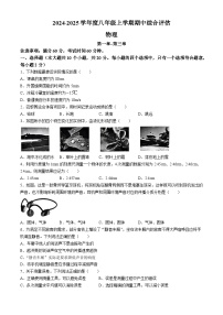 河北省廊坊市2024-2025学年八年级上学期10月期中物理试题(无答案)