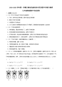 甘肃省武威市凉州区西营片联片教研2024-2025学年九年级上学期10月期中物理试题