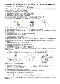 四川省成都市龙泉驿区东安湖学校2024-2025学年九年级上学期期中模拟物理试卷