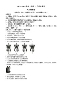 辽宁省沈阳市浑南区2024-2025学年九年级上学期11月期中物理试题(无答案)