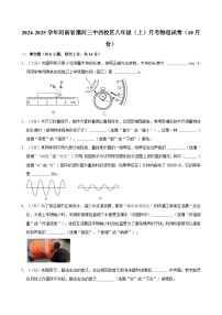 河南省漯河市第三实验中学（漯河市第三初级中学西校区）2024-2025学年八年级上学期10月月考物理试题