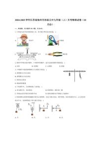 江苏省徐州市沛县第五中学2024～2025学年九年级上学期10月月考物理试卷（含解析）