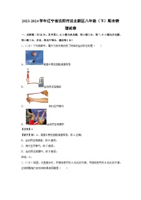 辽宁省沈阳市沈北新区2023-2024学年八年级下学期期末物理试卷