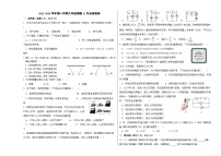 2023-2024学年新疆喀什地区疏勒县实验学校教育集团九年级（上）月考物理试卷（11月份）