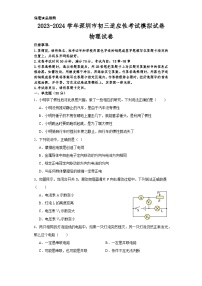 2023-2024学年广东省深圳市九年级（上）月考物理试卷