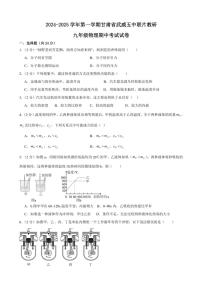 甘肃省武威市凉州区武威五中联片教研2024～2025学年九年级上学期10月期中物理试题（含答案）