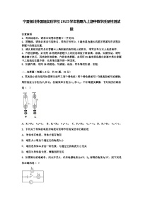 宁夏银川外国语实验学校2024-2025学年九年级上学期期中教学质量检测物理试题