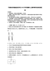 宁夏银川外国语实验学校2024-2025学年九年级上学期期中教学质量检测物理试题