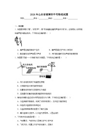 2024年山东省淄博市中考物理试题
