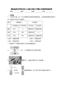 湖北省武汉市硚口区2025届九年级上学期10月调考物理试卷(含答案)