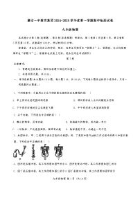 天津市滨海新区塘沽第一中学2024-2025学年九年级上学期11月期中物理试题