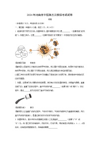 河南省信阳市息县2024年中考三模物理试卷（解析版）