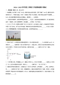 河南省周口市第三初级中学2024-2025学年八年级上学期物理期中测试卷