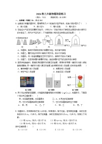 上海市杨思中学2024-2025学年九年级上学期期中考试物理试卷