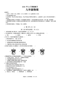 2023-2024学年四川省成都市高新区九年级（上）月考物理试卷（12月份）