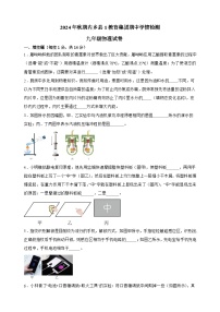 河南省南阳市内乡县第一教育集团2024-2025学年九年级上学期10月期中物理试题