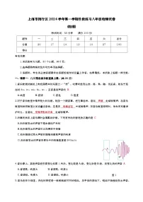 上海市闵行区2024-2025学年八年级上学期期中考试物理试卷