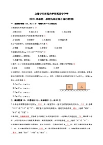 上海华东师范大学附属进华中学2024-2025学年九年级上学期期中考试物理试卷
