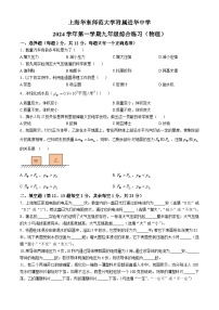 上海华东师范大学附属进华中学2024-2025学年九年级上学期期中考试物理试卷