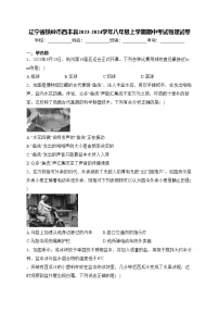 辽宁省铁岭市西丰县2023-2024学年八年级上学期期中考试物理试卷(含答案)