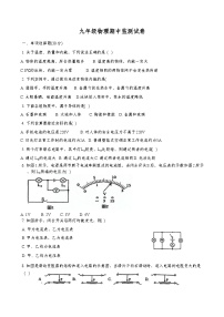 天津市天津市津南区天津市小站第一中学2024-2025学年九年级上学期11月期中物理试题