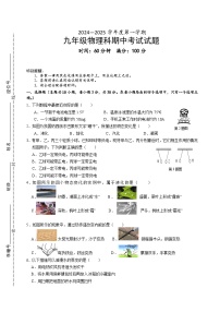 海南省海口某校2024-2025学年九年级上学期期中考试物理试题