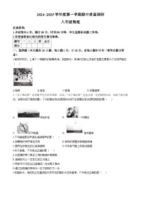 陕西省渭南市临渭区部分学校2024-2025学年八年级上学期11月期中物理试题(无答案)