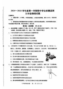 山东省潍坊市诸城市2024-2025学年九年级上学期11月期中物理试题