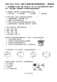 广东省珠海市香洲区珠海市第九中学2024-2025学年九年级上学期11月期中物理试题