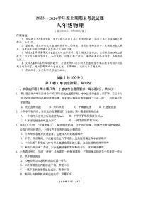2023-2024学年四川省成都市武侯区八年级（上）期末物理试卷