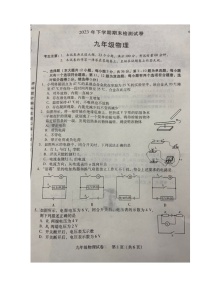 2023-2024学年湖南省衡阳市九年级（上）期末物理试卷