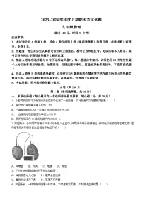 2023-2024学年四川省成都市武侯区九年级（上）期末物理试卷