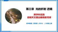 苏科版（2024）八年级上册（2024）跨学科实践获奖教学ppt课件