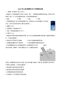 2024年山东省潍坊市中考物理试卷（含详细答案解析））