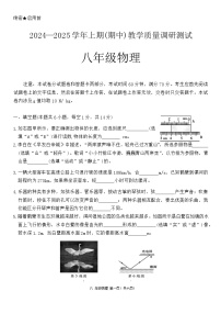 河南省鹤壁市部分学校2024-2025学年八年级上学期11月期中物理试题