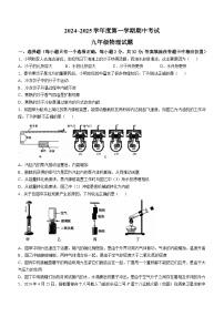 山东省枣庄市滕州市2024-2025学年九年级上学期11月期中物理试题(无答案)