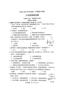 江苏省徐州市2024-2025学年九年级上学期期中检测物理试卷（含答案）