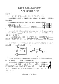 河南省南阳市西峡县2024-2025学年九年级上学期11月期中物理试题