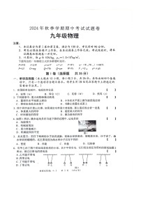 广西壮族自治区河池市宜州区2024-2025学年九年级上学期11月期中物理试题