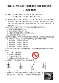 2023-2024学年湖南省怀化市麻阳县八年级（上）期末物理试卷