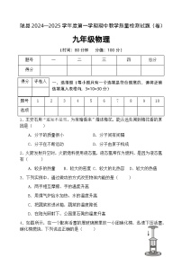 陕西省宝鸡市陇县2024-2025学年九年级上学期期中教学质量检测物理试卷